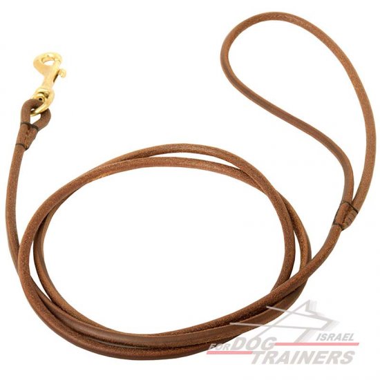 round leather dog leash