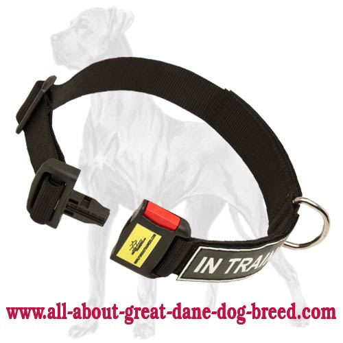 great dane training collar