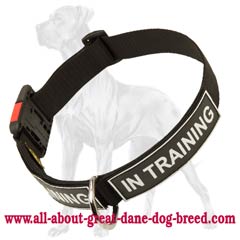 Great Dane Identification Nylon Collar Dog Training