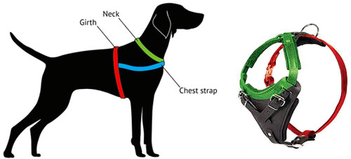 different type of dog harnesses